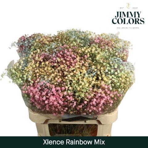 <h4>Gyps Xlence L80 Rainbow Mix</h4>