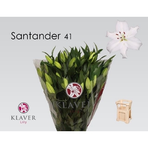 LI OR SANTANDER