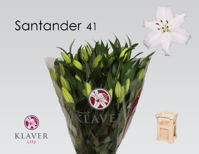 LI OR SANTANDER