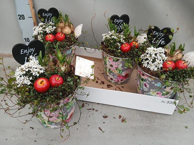 <h4>ARR BOL KNOLGEWAS</h4>