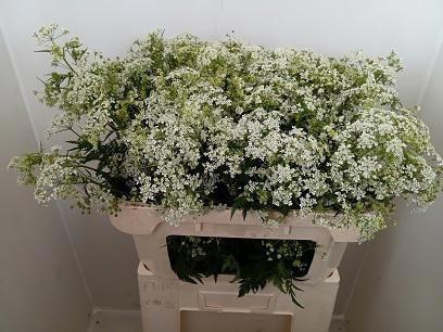 <h4>SNIJBLOEMEN OV</h4>