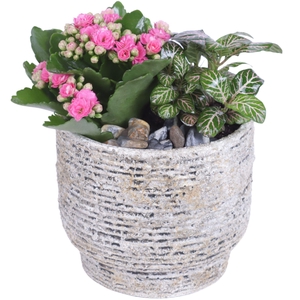 Yearround Arr. Indoor Ceramic Naturel Touch N567 Ø14cm 2PP