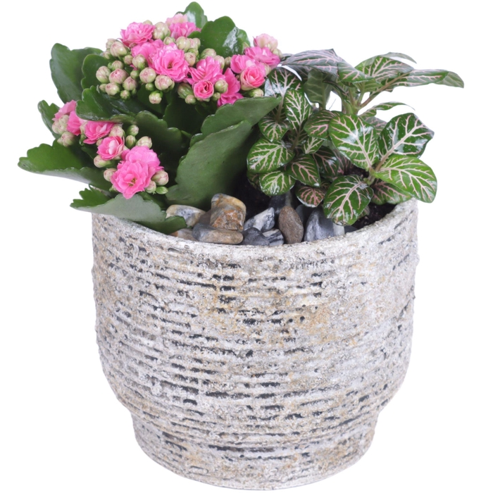 <h4>Yearround Arr. Indoor Ceramic Naturel Touch N567 Ø14cm 2PP</h4>