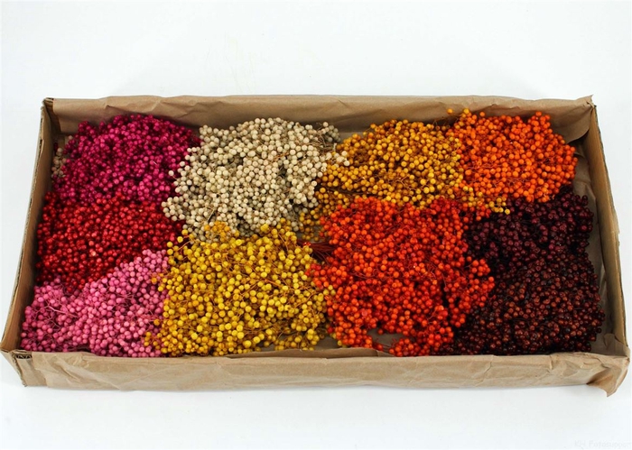 <h4>Schinus M Pt Peru Mix Bunch</h4>
