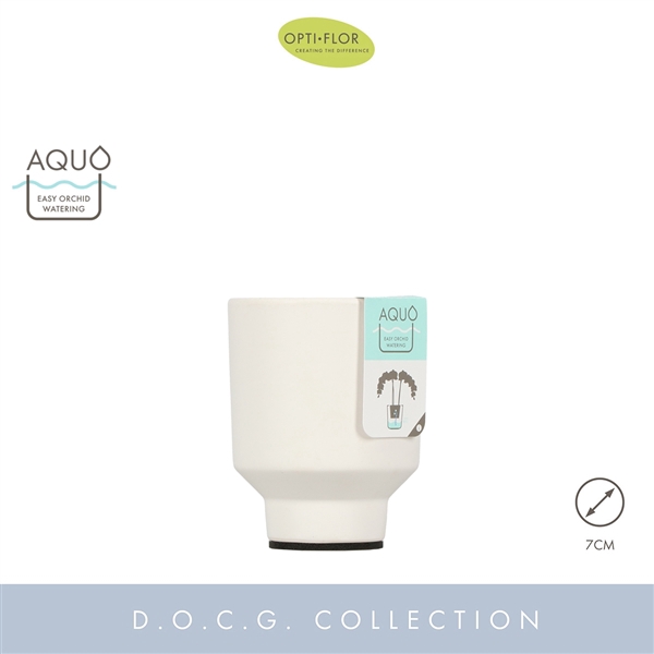 <h4>Emilia White 7 cm Aquo</h4>