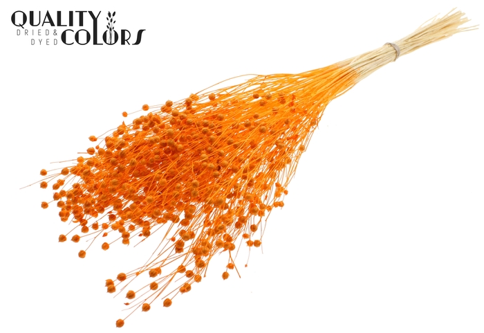 <h4>Lino Vlas per bunch in poly Intense Orange</h4>