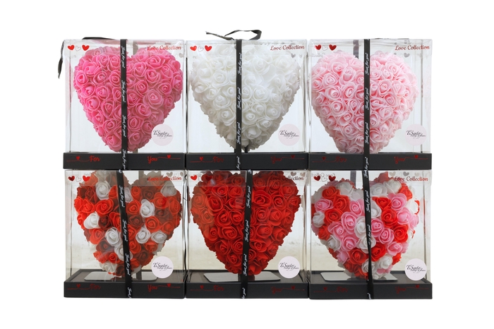 <h4>ARR ROSA POT H%</h4>