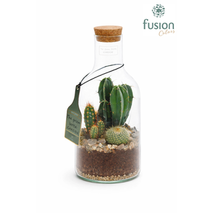 Green Bottle Fles Small met Cactussen
