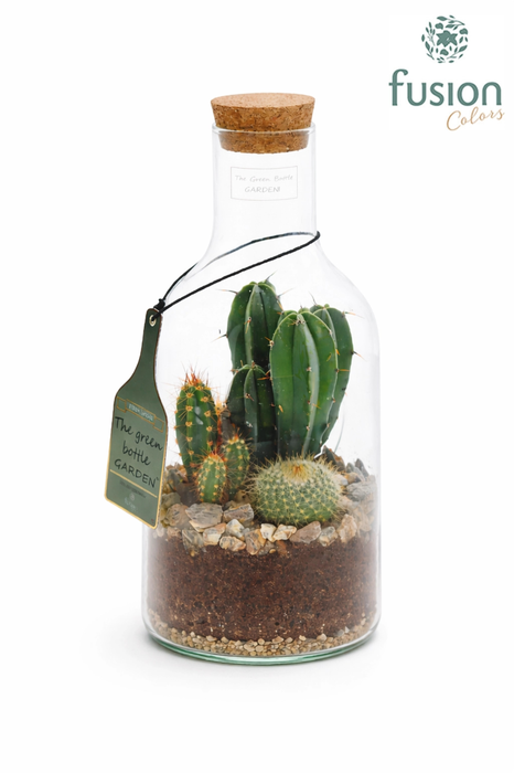 <h4>Green Bottle Fles Small met Cactussen</h4>