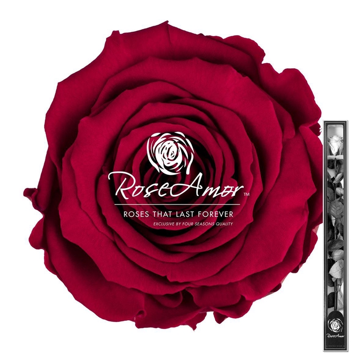 <h4>60cm Stem Pin02</h4>