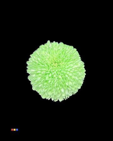 Chr G Superbowl Green