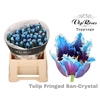 TU FR FRINGED SAN CRYSTAL