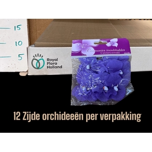 HUIS EN TUINDECO H%