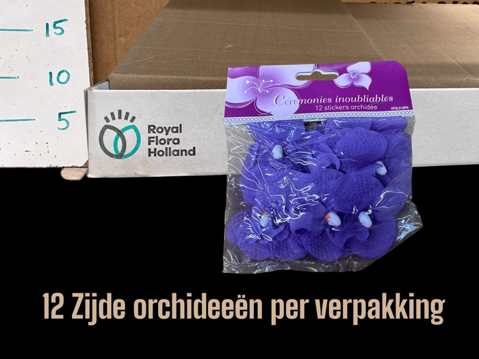 <h4>HUIS EN TUINDECO H%</h4>
