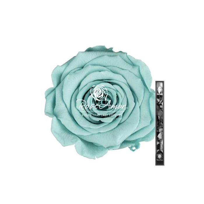 <h4>60cm Stem Blu02</h4>