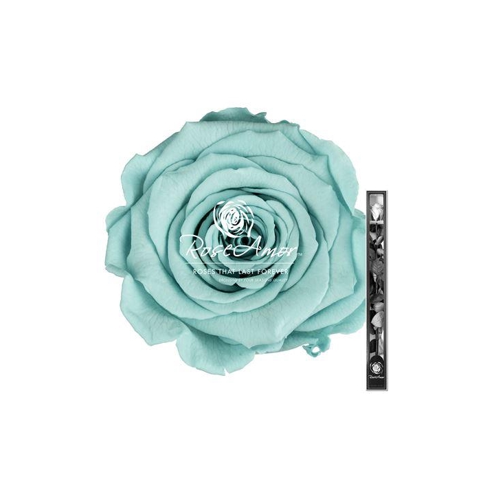 <h4>60cm Stem Blu02</h4>