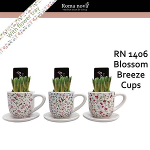 arr4 Muscari RN - Blossom breeze cups