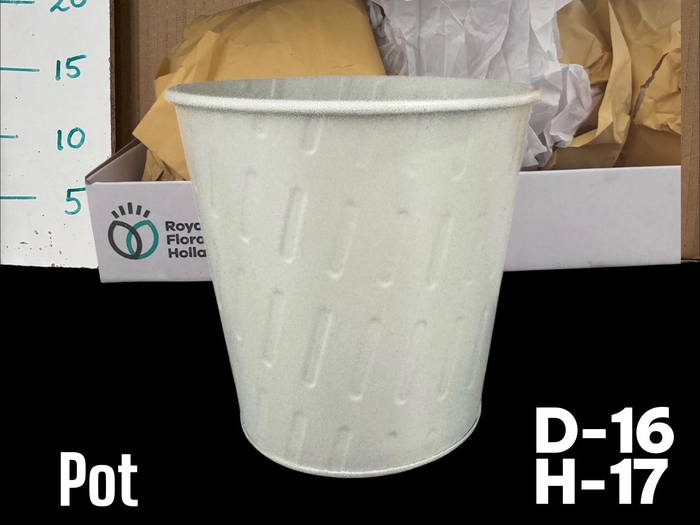 <h4>POT H%</h4>