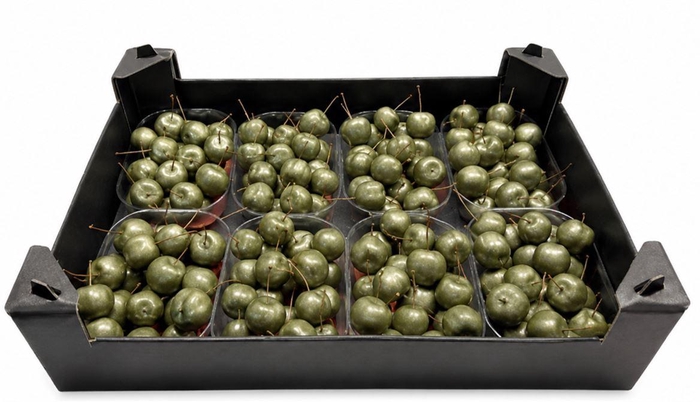 <h4>Waxmalus Groen Olijf Metalic</h4>