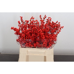 Ilex Ve Rode Bes 40cm (dussen)