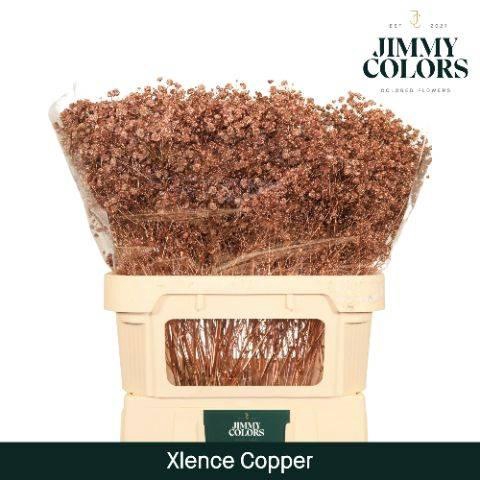 <h4>GYPS KLB COPPER H%</h4>