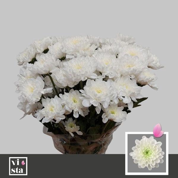 <h4>CHR T OVERIG</h4>