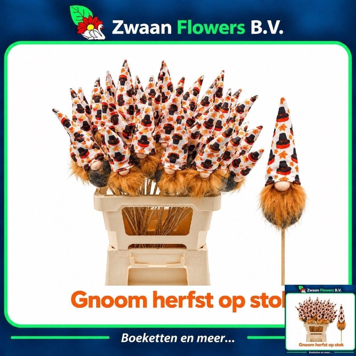 <h4>HUIS EN TUINDECO H%</h4>