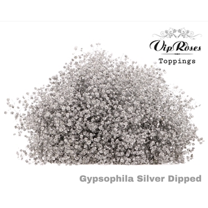 GYPS PA DIPPED SILVER 998