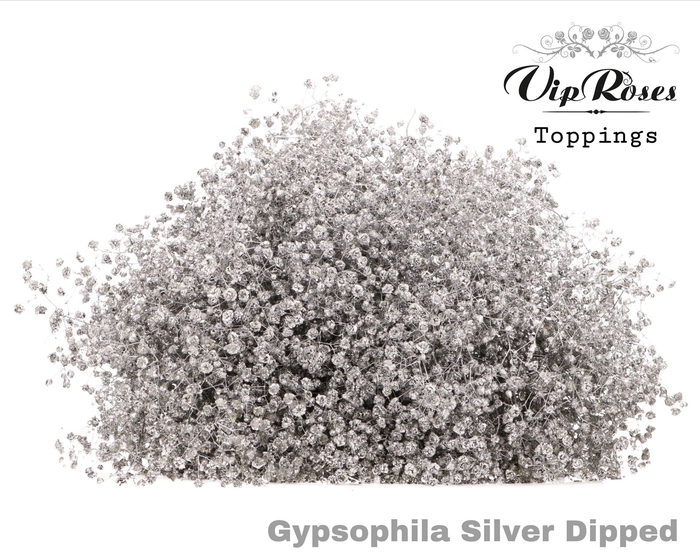 <h4>GYPS PA DIPPED SILVER 998</h4>