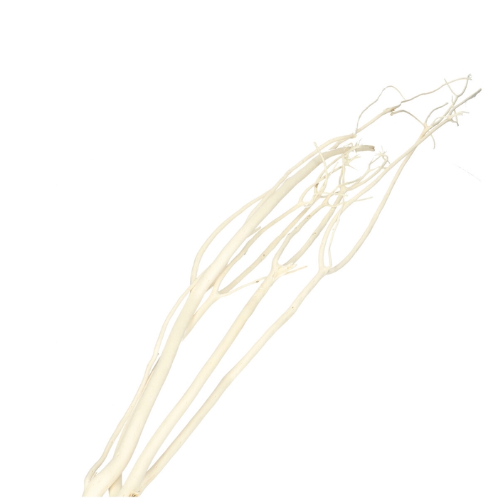 <h4>Droogdeco Mitsumata 115cm x3</h4>