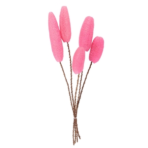 DRY LUFFA CERISE 5PC