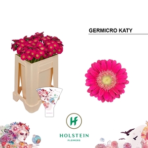 Nano Katy