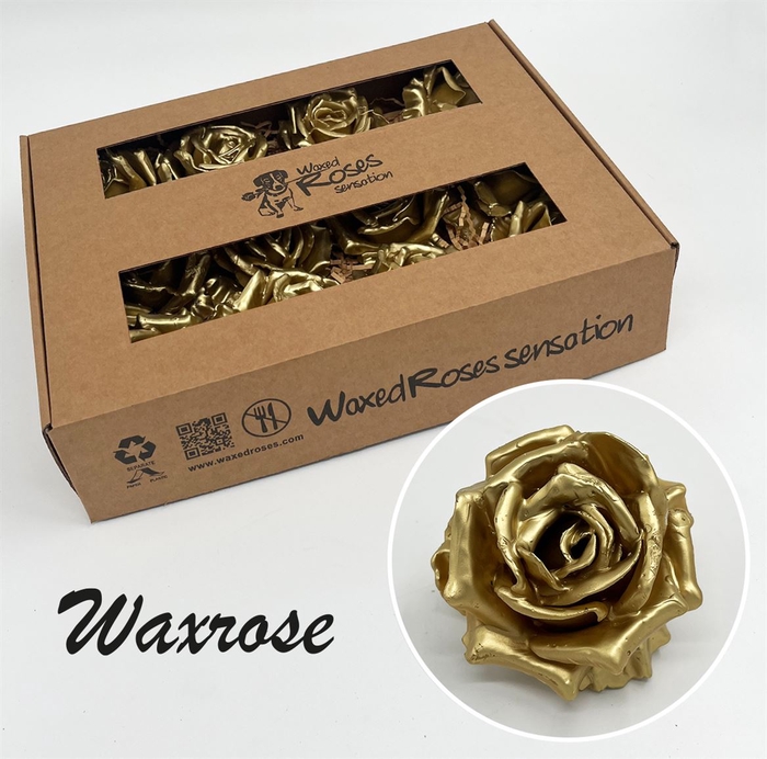 <h4>Zijde R Wx Goud</h4>