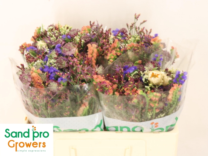 <h4>GEM ZOMERBOEKET</h4>