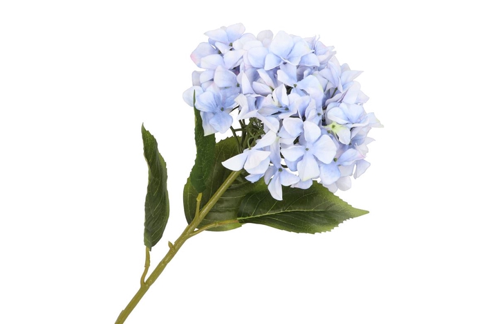 Silk Hortensia Xl Blue 109cm