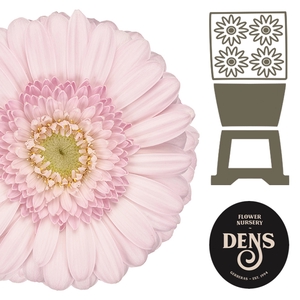 Germini Bridal Kimsey Diamond