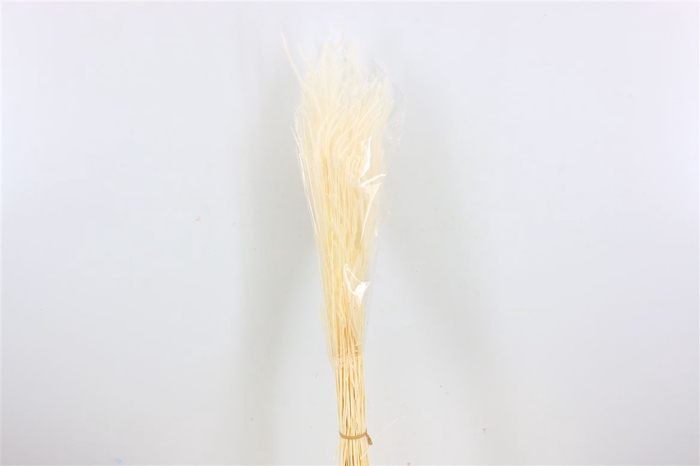 Dried Ouro Bleached Bunch