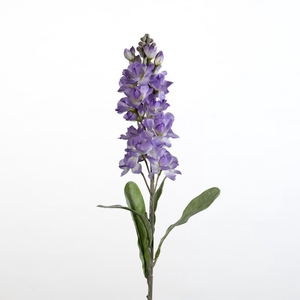 AF Matthiola L78cm purple