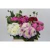 Dahlia Gemengd in fust
