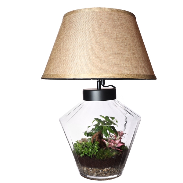 <h4>Terrarium Victoria + lamp (Decorum concepts)</h4>