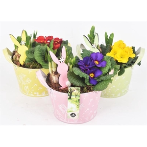 Zink schaal decor mix kl 15.5cm