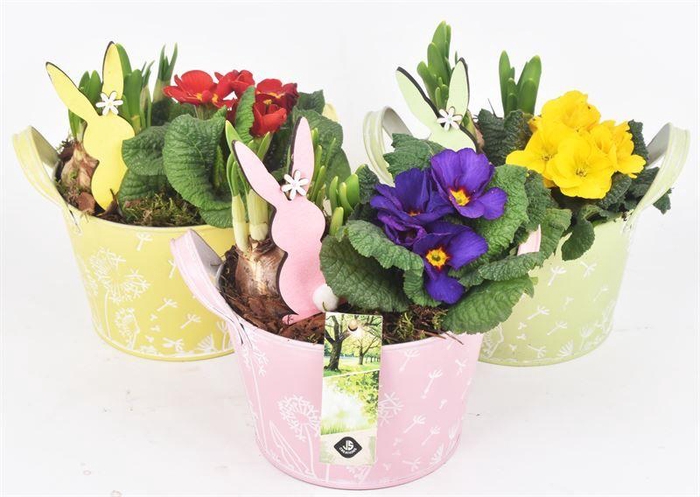 <h4>Zink schaal decor mix kl 15.5cm</h4>