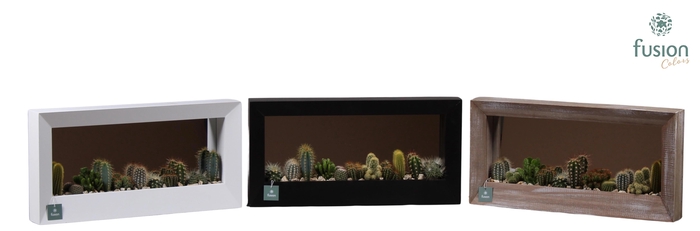 <h4>Houten schilderij met spiegel hout met Cactussen</h4>