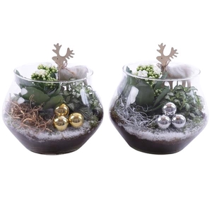 Christmas Arr. Indoor Glass UFO Vase Ø20cm 2PP