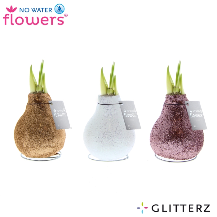 <h4>No Water Flowers Glitterz® Charm mix</h4>