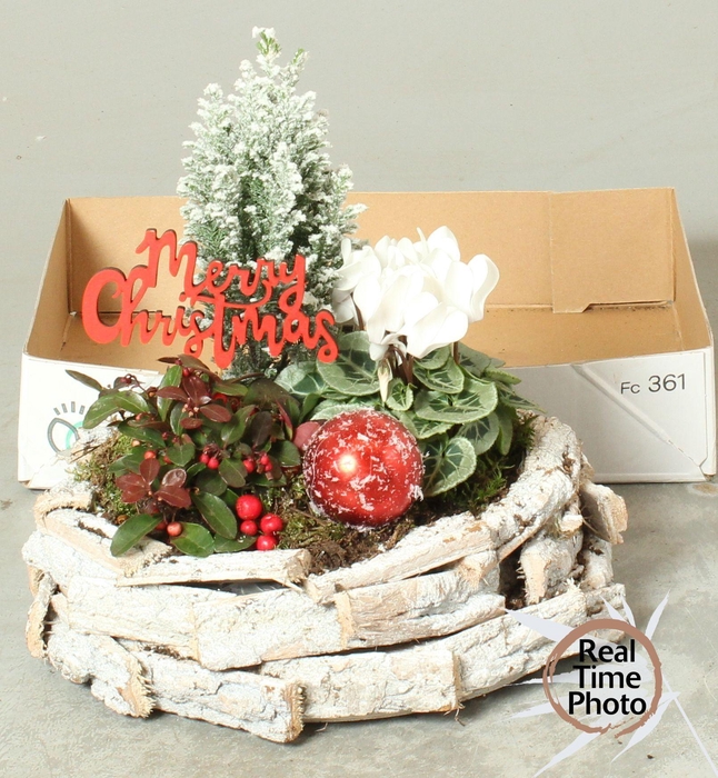 <h4>ARR TUINPLANTEN</h4>