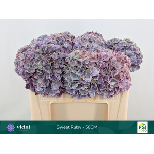 Hydr Sweet Ruby 50 cm Vicini