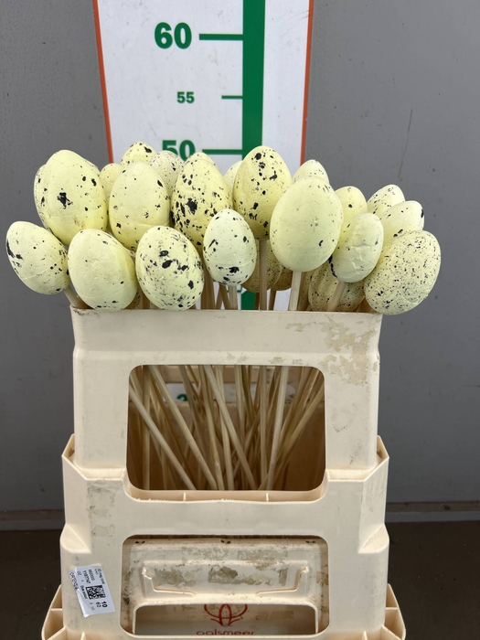 <h4>KIEVIETS EI 4 CM OP STOK</h4>