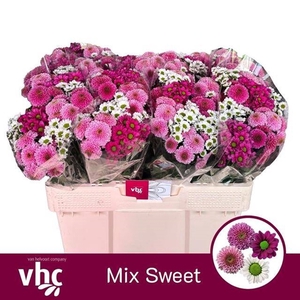 CHR SAN GEM SWEET MIX