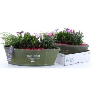 ARR TUINPLANTEN